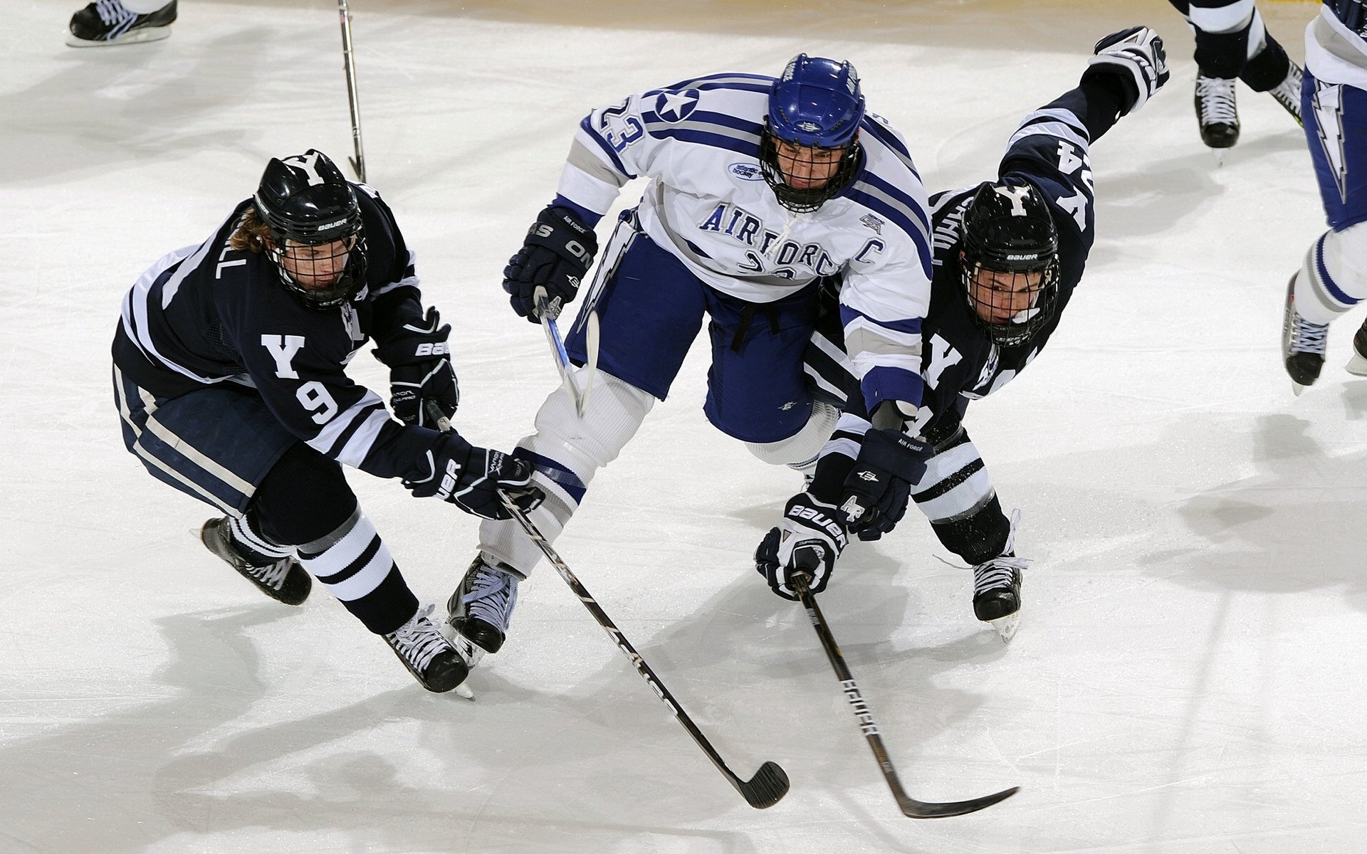 车手排名变化的背后故事,车手明星有哪些