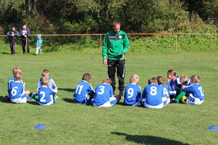 中国篮球教练员战术创新能力培养机制，篮球训练教练简介