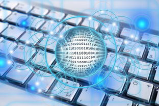 篮球专项技能教学创新实践及效果评估，篮球教学实施报告 教学能力比赛